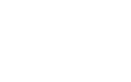 Полюс